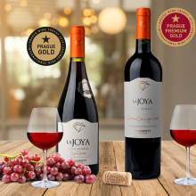 Prestižní ceny pro naše vína