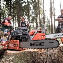 Barevný podzim s vůní dřeva Barevný podzim s vůní dřeva