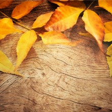 Cítíte? Vůně podzimu naplno propukla