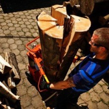 Zásoby dříví snadno a levně