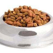 Zpráva pro domácí mazlíčky. Sortiment krmiva rozšířen!