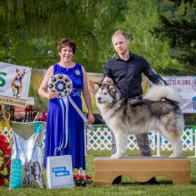 Vážíme si odborníků – a také je podporujeme Vážíme si odborníků – a také je podporujeme