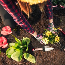 BLÍŽÍ SE JARO. JAK PŘIPRAVIT ZAHRADU? BLÍŽÍ SE JARO. JAK PŘIPRAVIT ZAHRADU?