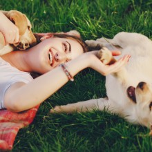 Jak se v horkých dnech správně postarat o psa Jak se v horkých dnech správně postarat o psa