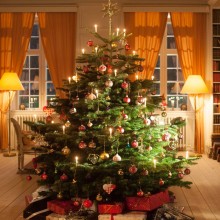 Voňavé dánské jedle na Vás čekají! Už od 399 Kč Voňavé dánské jedle na Vás čekají! Už od 399 Kč