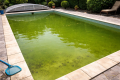 Jak na zelenou vodu v bazénu