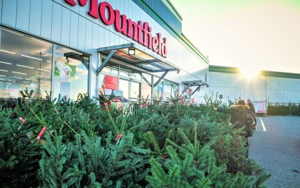 Krásné čerstvé dánské jedle na Vás čekají před prodejnami!