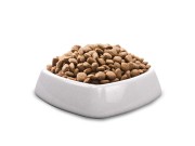 Granule pre psov