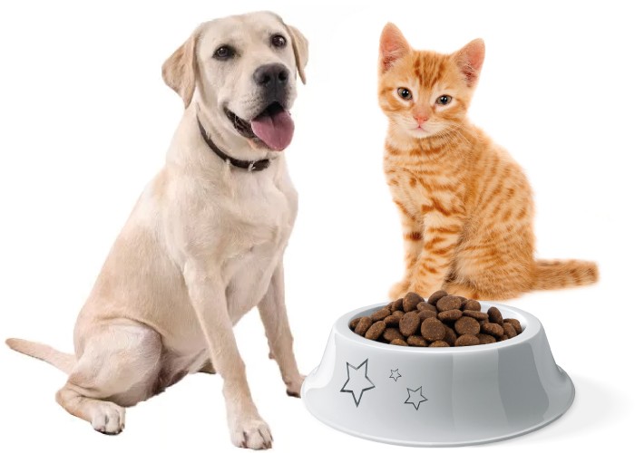 GOIO PET CHOVATE SK POTREBY visual data 8