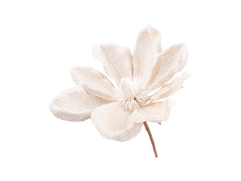 Vánoční květ magnolie, béžová, 14 cm - foto 1 Vánoční květ magnolie, béžová, 14 cm