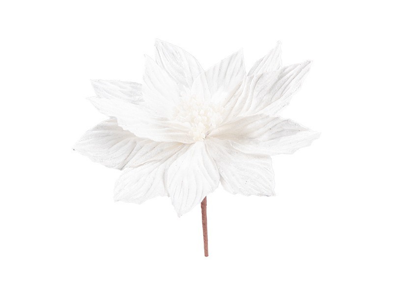 Biely vianočný kvet, 22cm