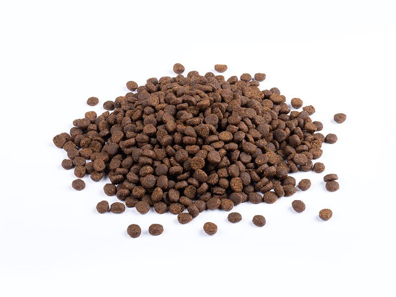 StarVita granule pro koťata 1,5kg