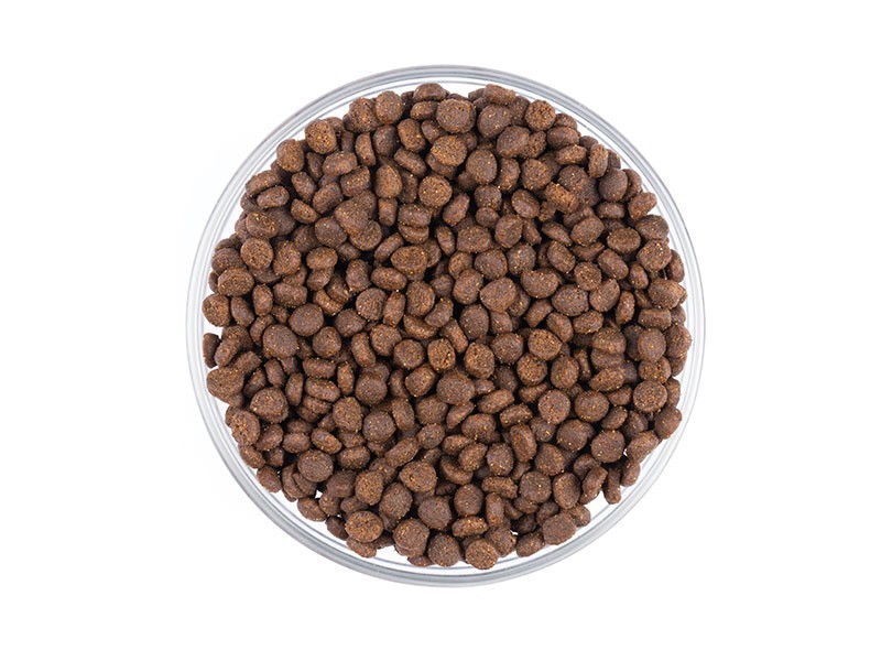 StarVita granule pro koťata 1,5kg