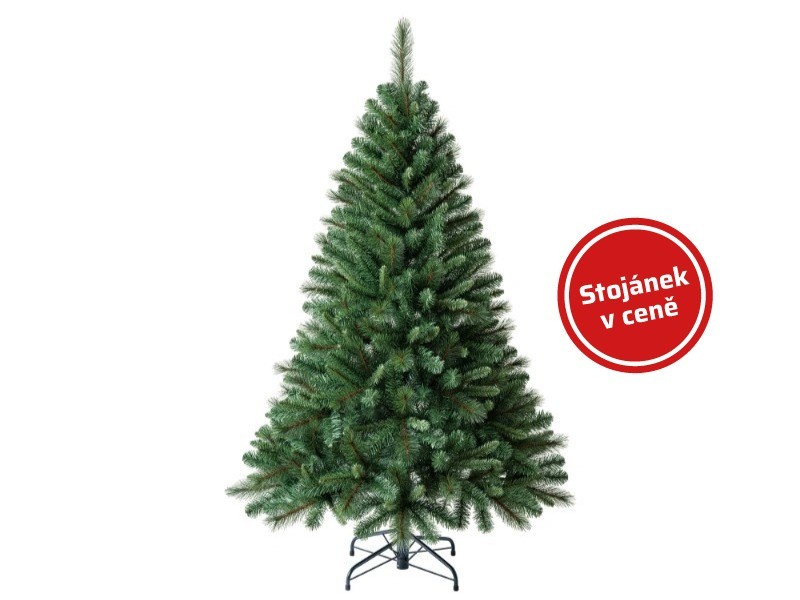 Jedle skandinávská, 167 cm