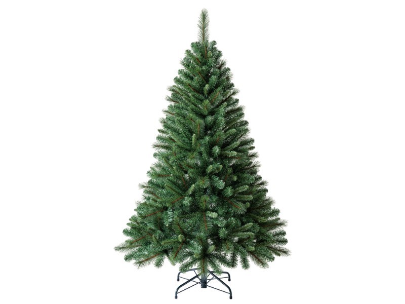 Jedle skandinávská, 167 cm