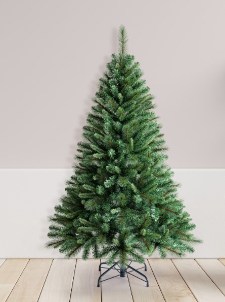 Jedle skandinávská, 167 cm