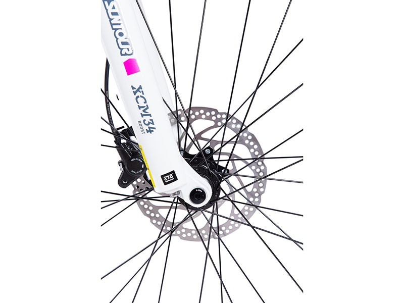 Horský elektrobicykel Hill 8.1 - W (17)