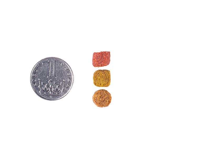 Carnis granule pre mačky hovädzie 1,6kg - foto 5 Carnis granule hovädzie 1,6kg