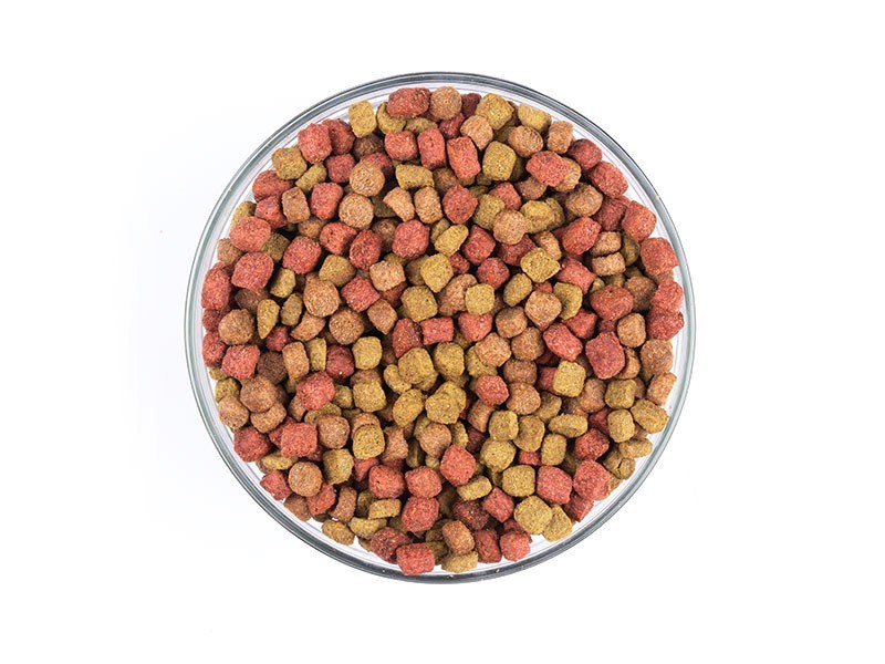 Carnis granule pre mačky hovädzie 1,6kg - foto 8 Carnis granule hovädzie 1,6kg