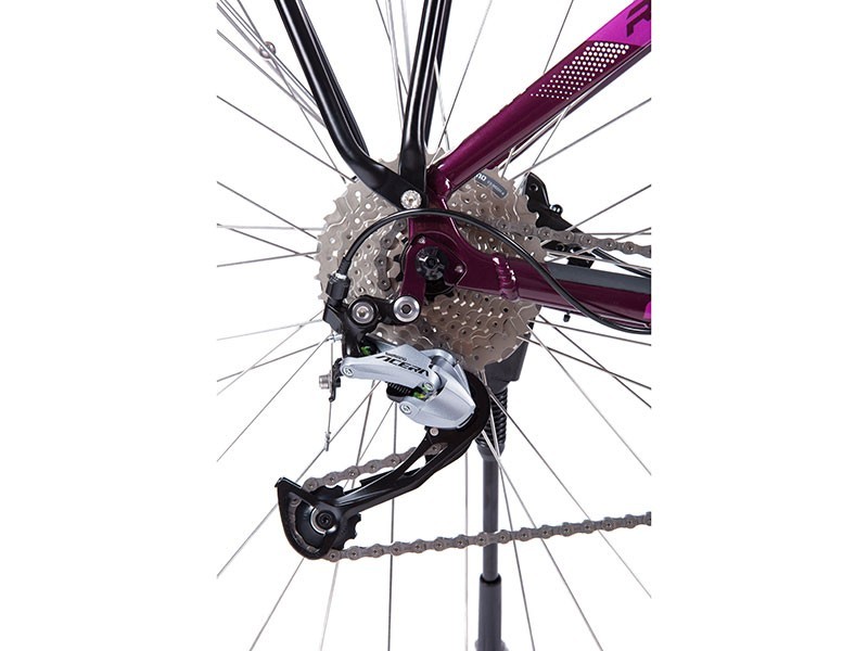 Trekový elektrobicykel Road 8.1 - W (17)