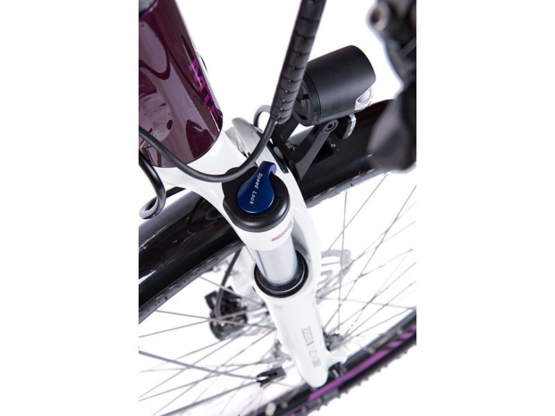 Trekový elektrobicykel Road 8.1 - W (17)