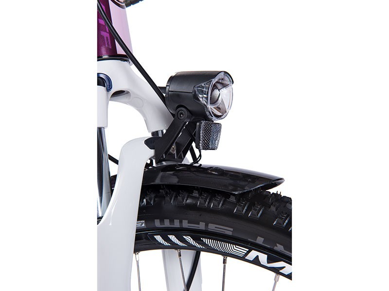 Trekový elektrobicykel Road 8.1 - W (17)