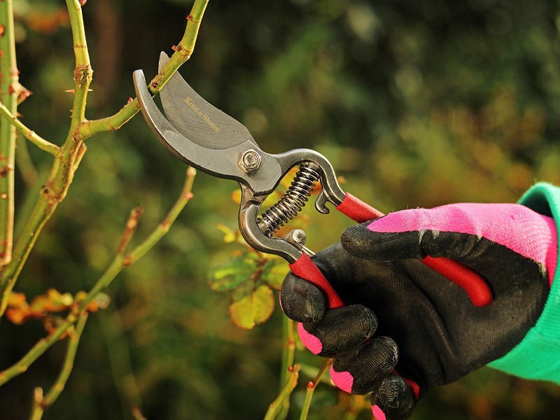 Zahradnické nůžky Kent&Stowe R20