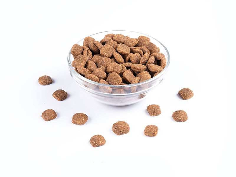 VIVAVITA pro dospělé psy velkých plemen 7kg