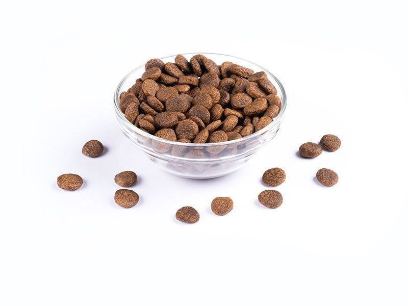 Starvita granule pre dospelé psy morčacie 4kg - foto 5