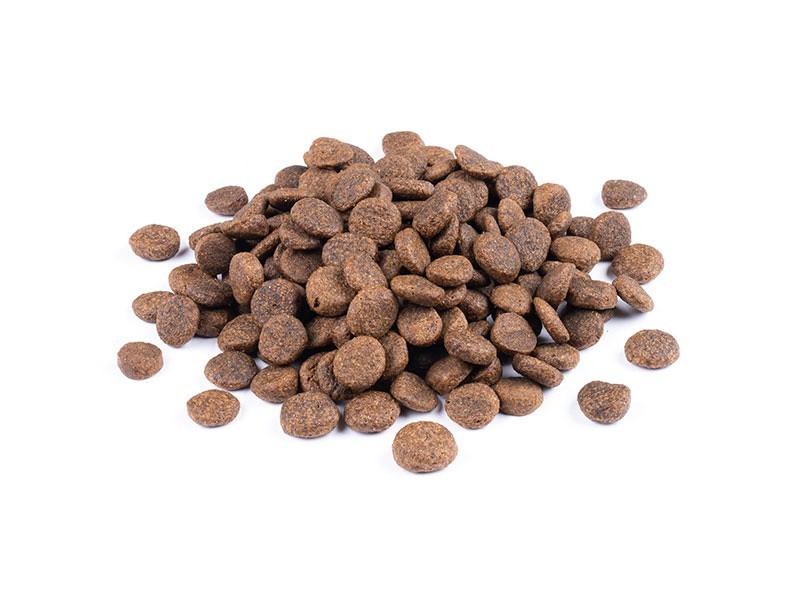 Starvita granule pre dospelé psy morčacie 4kg - foto 6