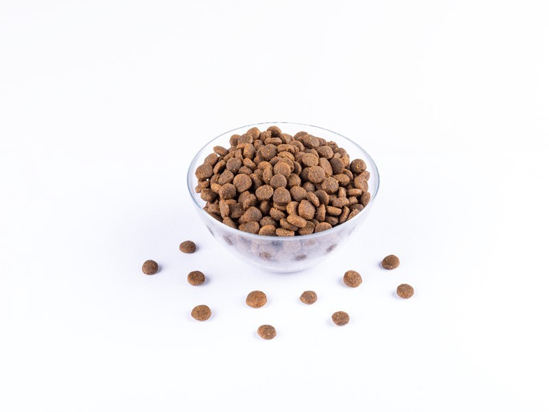 Starvita granule pre šteniatka kura a losos 12kg - foto 4 Starvita granule pre šteniatka kura a losos 12kg