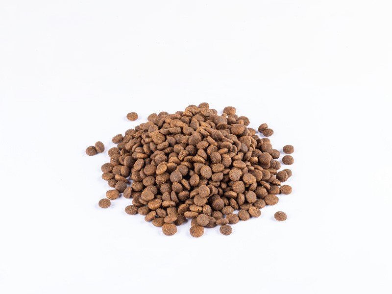 Starvita granule pre šteniatka kura a losos 12kg - foto 6 Starvita granule pre šteniatka kura a losos 12kg