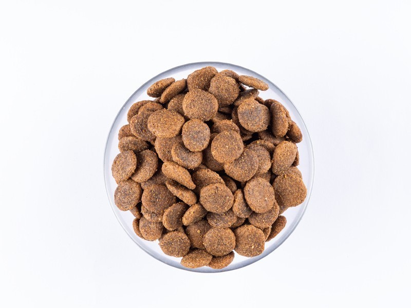 Starvita granule pro dospělé psy losos 12kg - foto 3 Starvita granule pro dospělé psy losos 12kg