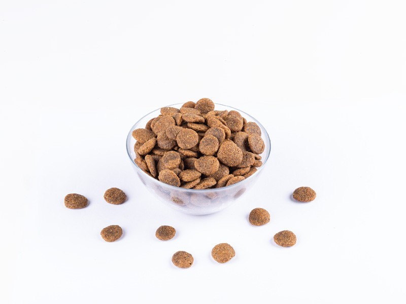 Starvita granule pro dospělé psy losos 12kg - foto 4 Starvita granule pro dospělé psy losos 12kg