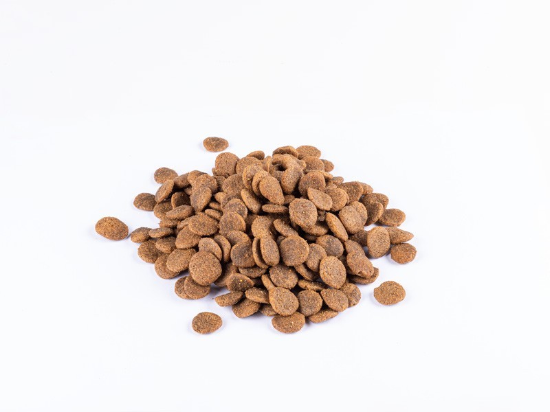 Starvita granule pro dospělé psy losos 12kg - foto 5 Starvita granule pro dospělé psy losos 12kg