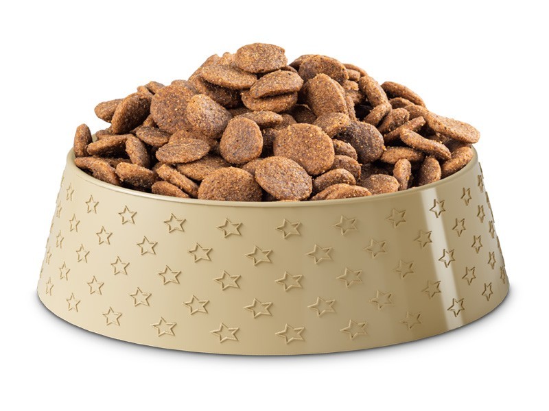 Starvita granule pro dospělé psy losos 12kg - foto 6 Starvita granule pro dospělé psy losos 12kg