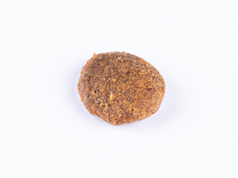 Starvita granule pro dospělé psy losos 12kg - foto 7 Starvita granule pro dospělé psy losos 12kg