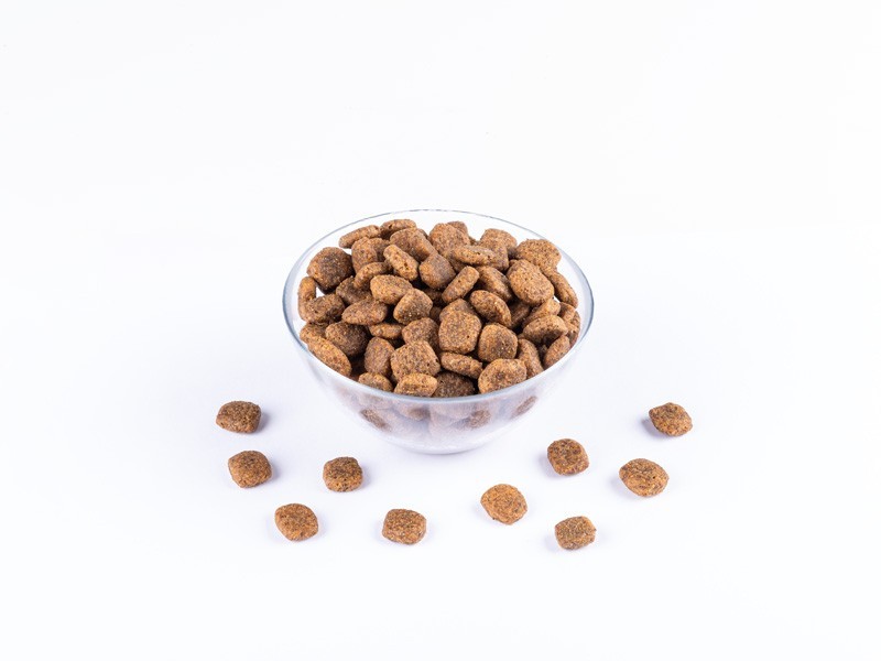 Starvita granule pre dospelé psy zverina 12kg - foto 4 Starvita granule pre dospelé psy zverina 12kg