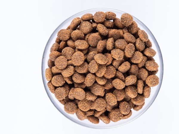 Starvita granule pro dospělé psy jehněčí 12kg