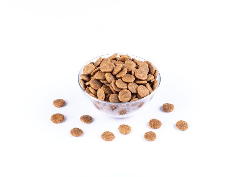 Starvita granule pro dospělé psy kuře 12kg - foto 4 Starvita granule pro dospělé psy kuře 12kg