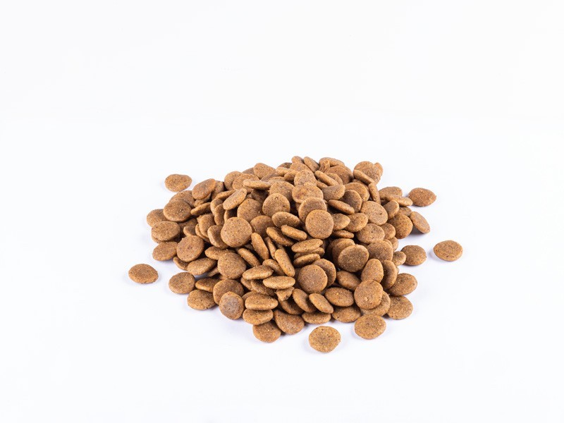 Starvita granule pro dospělé psy kuře 12kg - foto 5 Starvita granule pro dospělé psy kuře 12kg