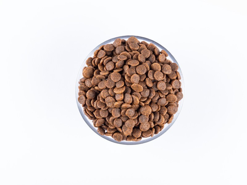 Starvita granule pre psy malých plemien kuracie, morčacie 12kg - foto 3 Starvita granule pre psy malých plemien kuracie, morčacie 12kg