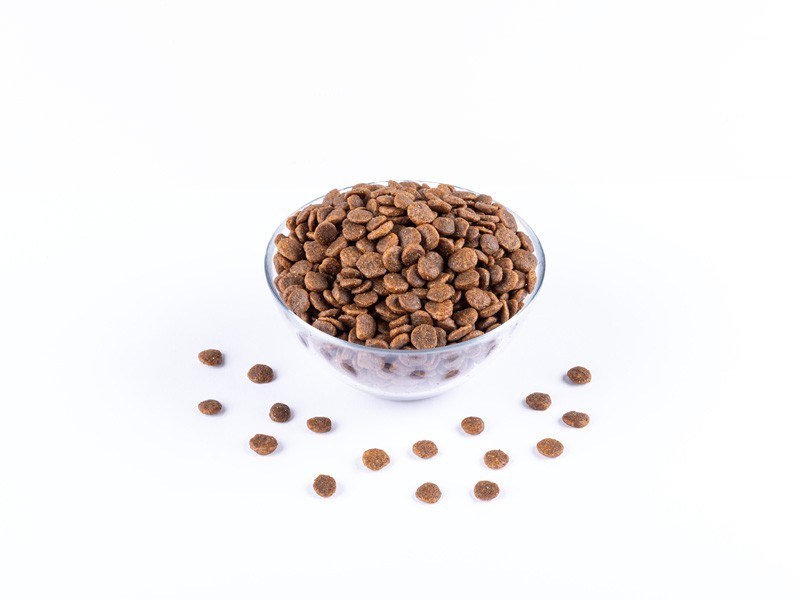 Starvita granule pre psy malých plemien kuracie, morčacie 12kg - foto 4 Starvita granule pre psy malých plemien kuracie, morčacie 12kg