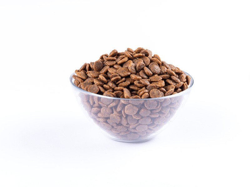 Starvita granule pre psy malých plemien kuracie, morčacie 12kg - foto 5 Starvita granule pre psy malých plemien kuracie, morčacie 12kg