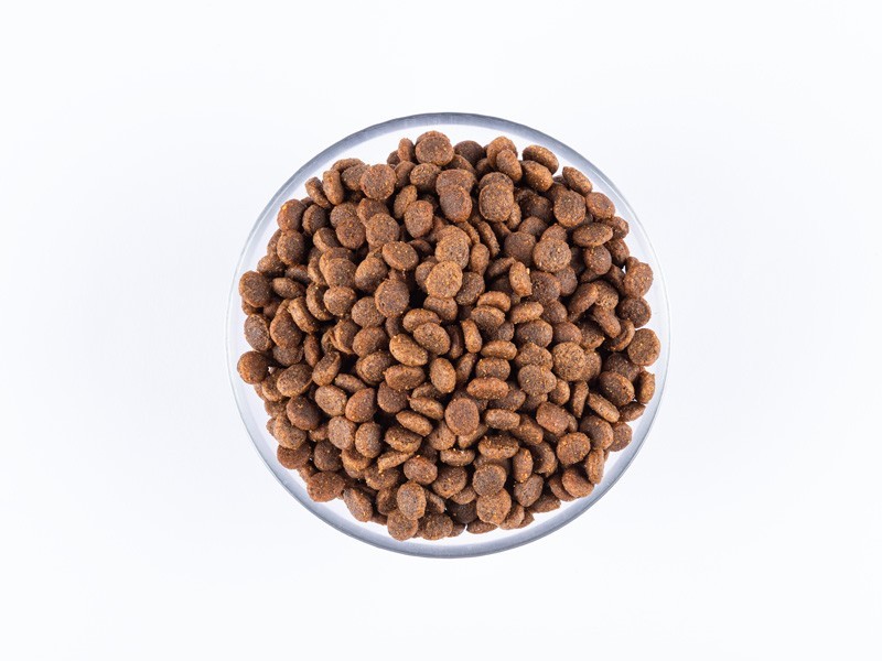 Starvita granule pro aktivní kočky kuře, kachna 1,5kg - foto 3 Starvita granule pro aktivní kočky kuře, kachna 1,5kg