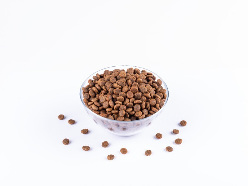 Starvita granule pro aktivní kočky kuře, kachna 1,5kg - foto 4 Starvita granule pro aktivní kočky kuře, kachna 1,5kg