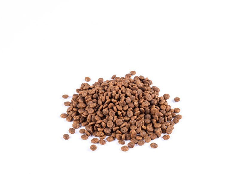 Starvita granule pro aktivní kočky kuře, kachna 1,5kg - foto 5 Starvita granule pro aktivní kočky kuře, kachna 1,5kg