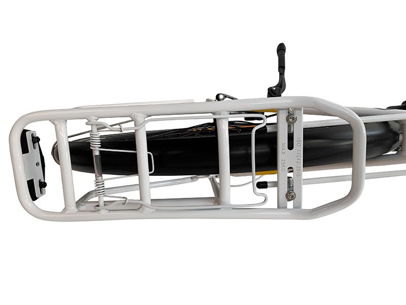 Trekový elektrobicykel Road 6.1 - W (19)