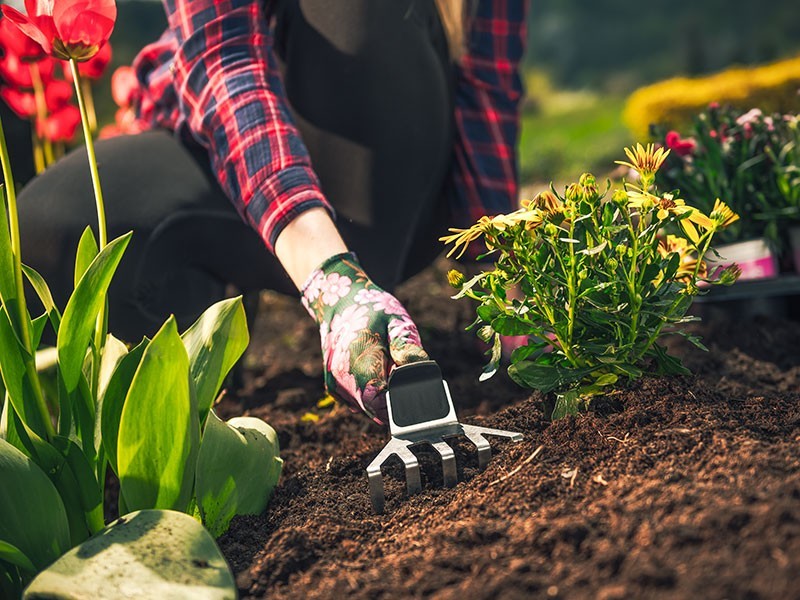 Hrabličky MTF Elite - foto 3 Hrabličky MTF Elite