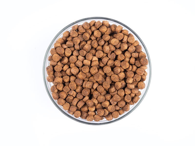 Carnis granule pro štěňata a březí feny hovězí 10kg